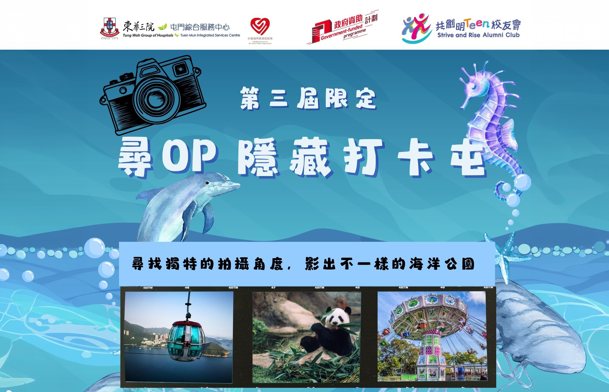 Activities 5 海洋公園 的複本 1
